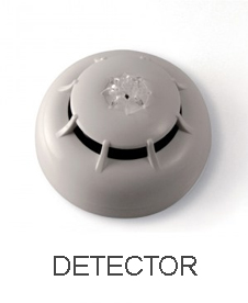 Detector
